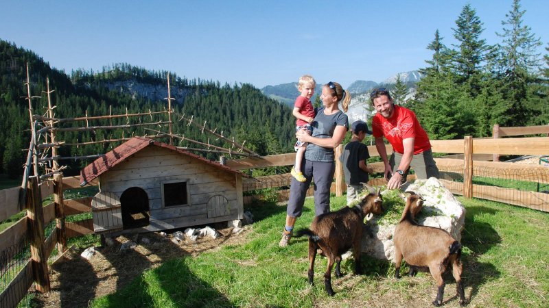 ©Jack/www.bad-goisern.net / Veranstaltungen für Kinder & Familien im Salzkammergut