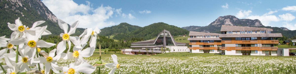 Daffodils Bad Aussee - Solebad & Vitalresort; Pure relaxation with panoramic views - 
