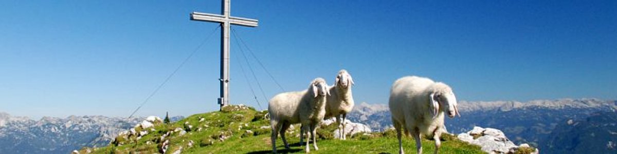 Wandern im Salzkammergut: Gipfelkreuz auf dem Sarstein - © Kraft