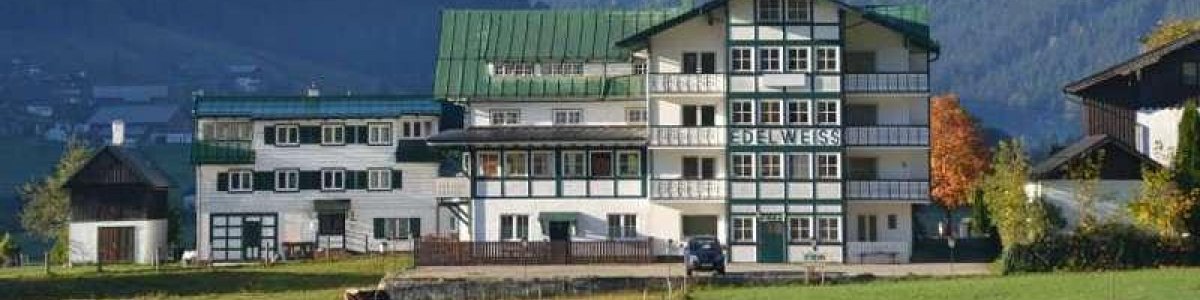 Apartments Edelweiss in Gosau - 