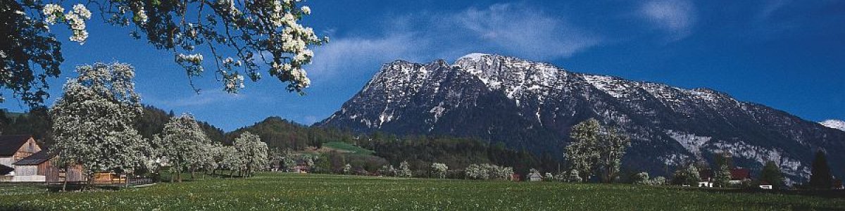 Frühling in der Ferienregion Dachstein Salzkammergut - 
