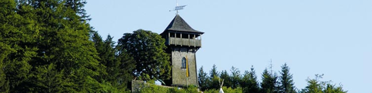 Places of interest in the Salzkammergut : The Siriuskogl hill  - 
